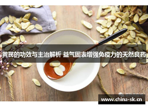 黄芪的功效与主治解析 益气固表增强免疫力的天然良药